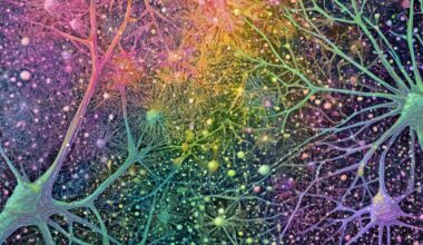Neuroscience News logo for mobile.