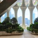Hong Kong's Queensway Reimagined: Sara Klomps on the Genesis and Ambition of The Henderson by Zaha Hadid Architects - Image 5 of 12