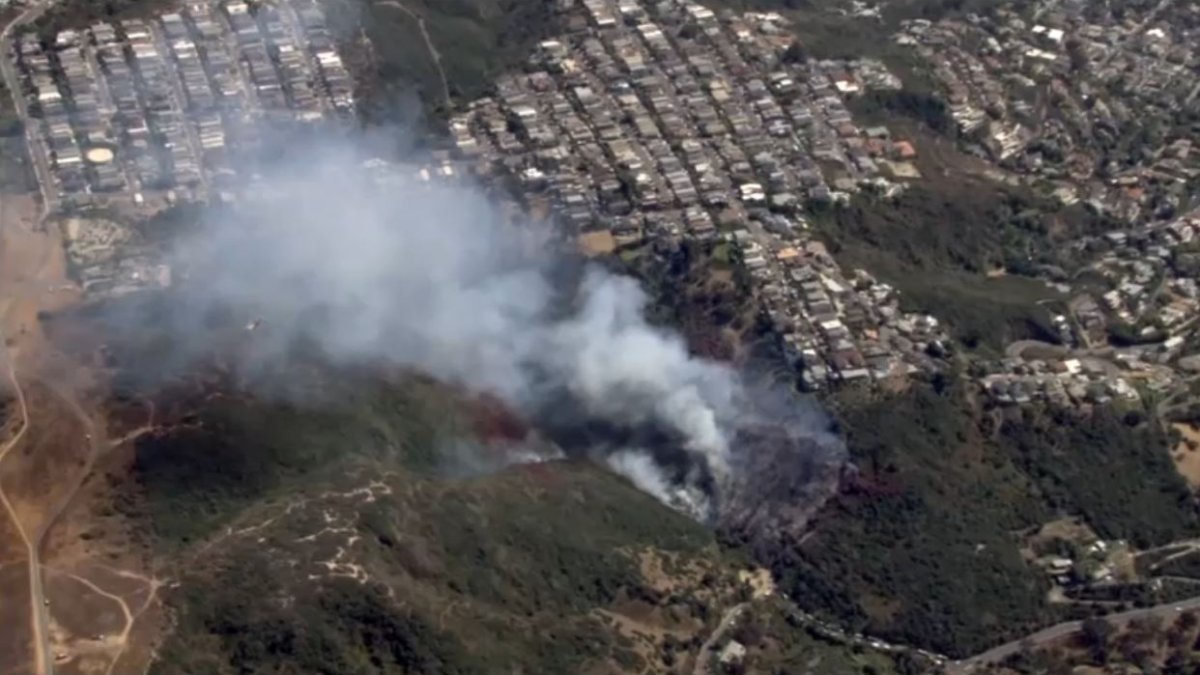 Boy arrested in Laguna Beach brush fire – NBC Los Angeles