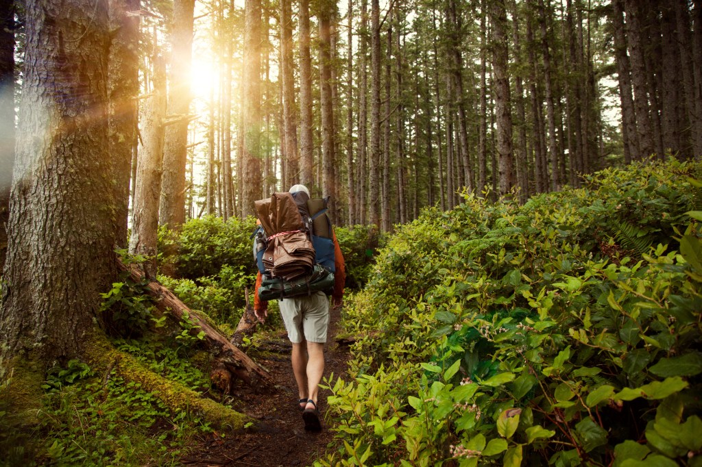 Hiker walking on a forest path.