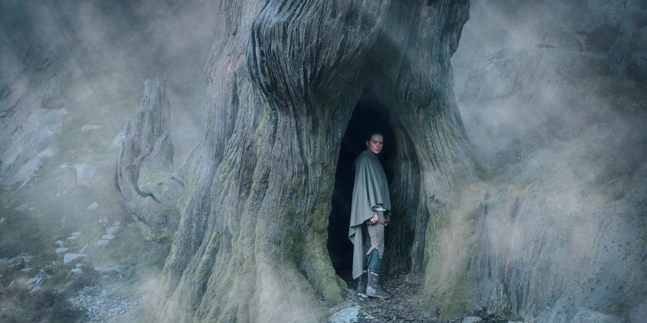 Rey standing in an uneti tree from Star Wars: Episode VIII - The Last Jedi