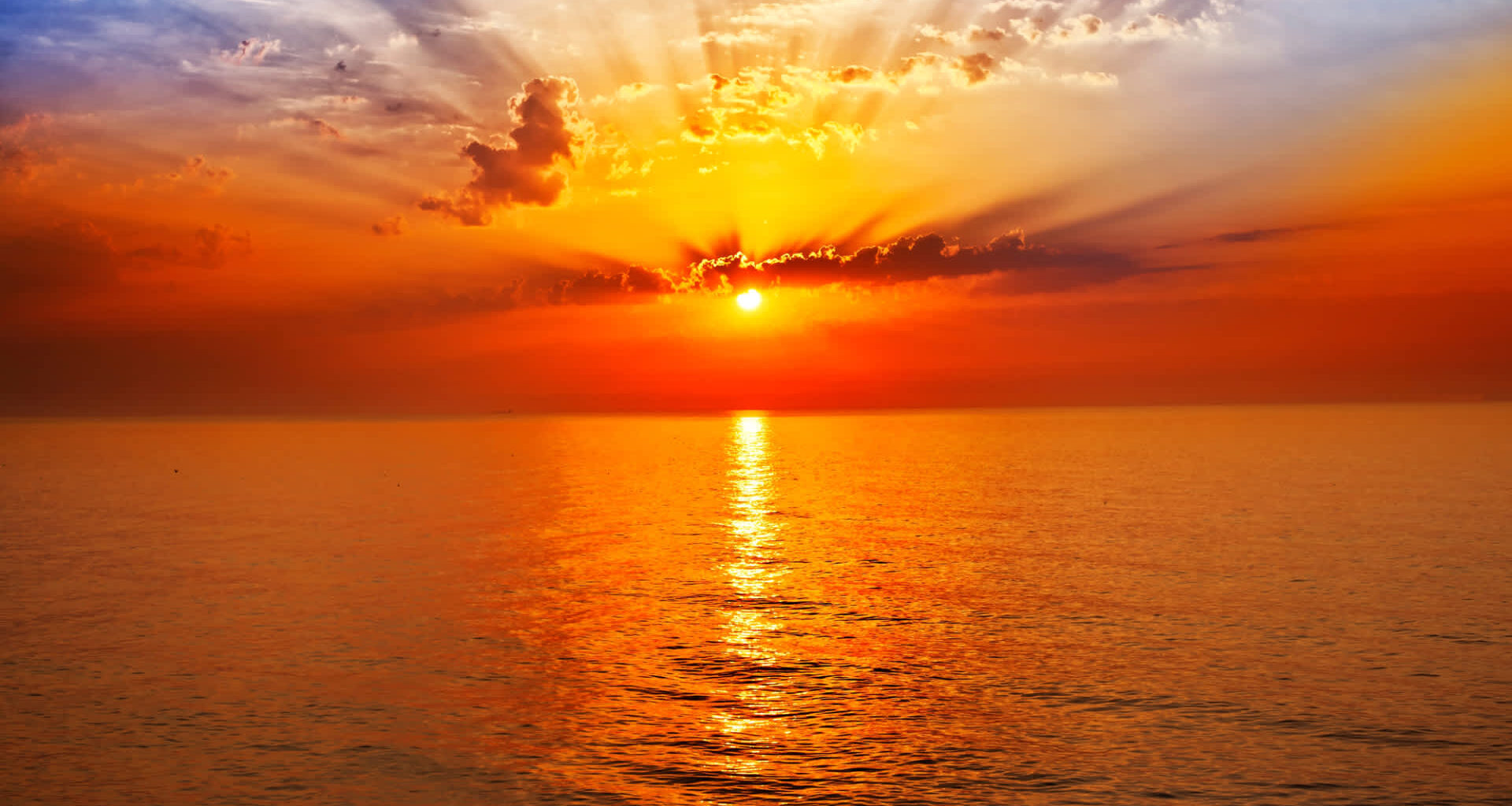 The consequences can be deadly for both marine and human life.