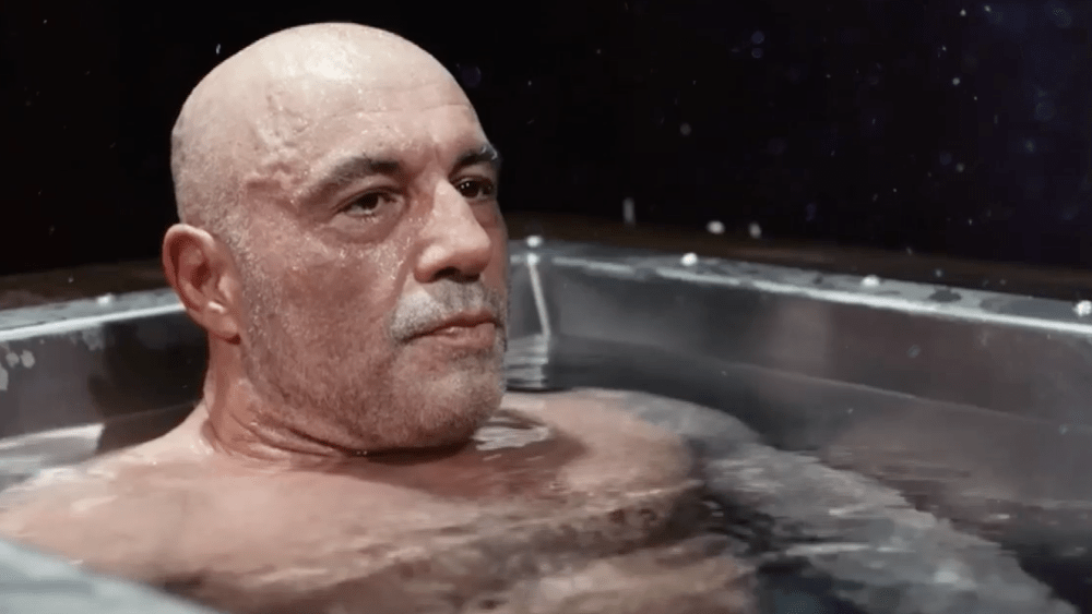 'The Daily Show' Trolls Joe Rogan in New Video Segment