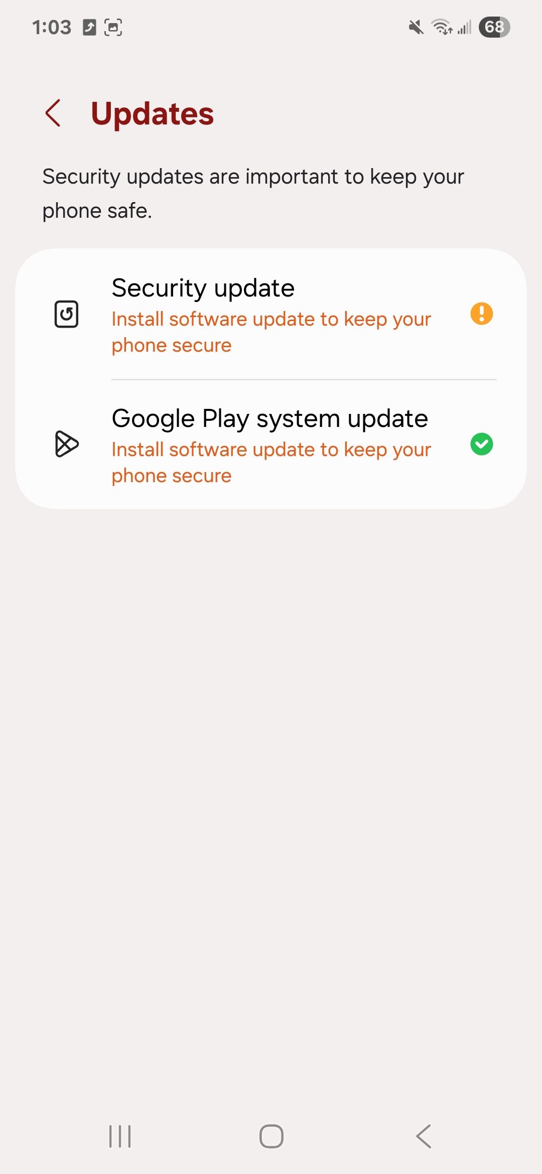 Selectable updates options in Samsung's privacy and security settings that are available to install