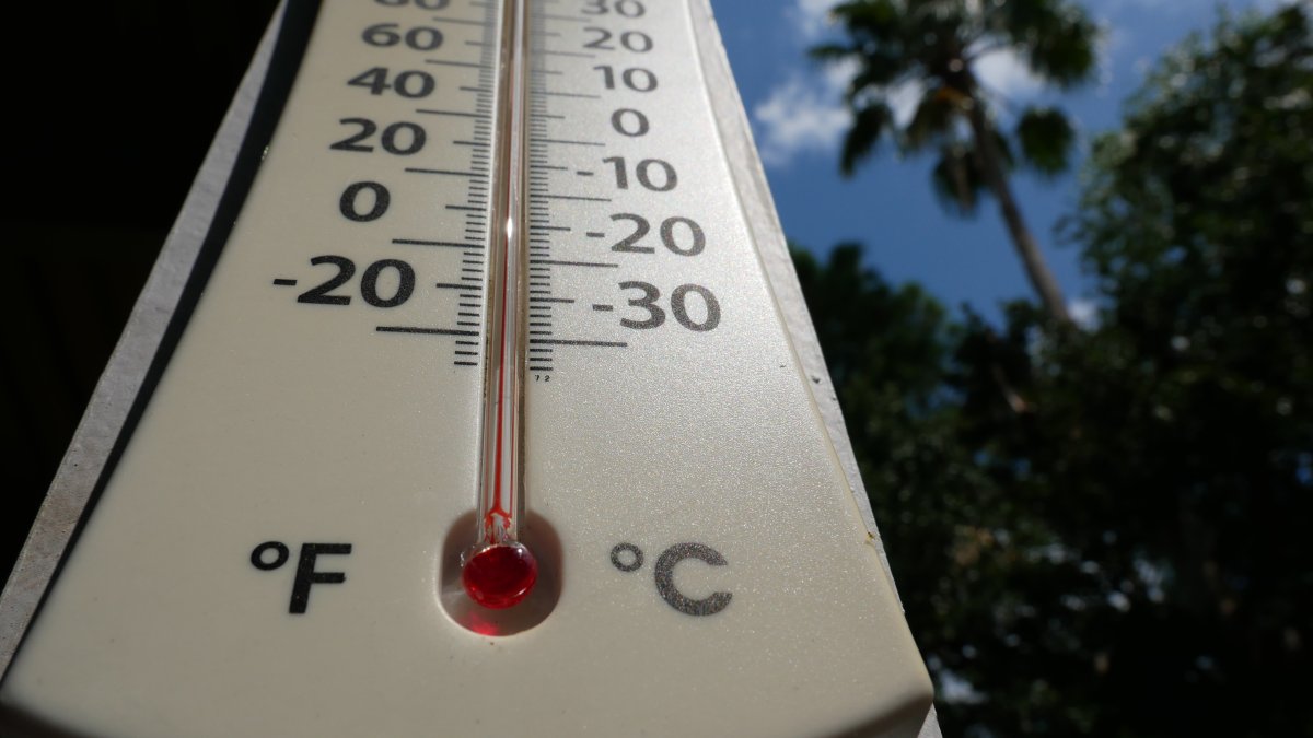 Dallas County offers free A/C window units to handle the heat – NBC 5 Dallas-Fort Worth