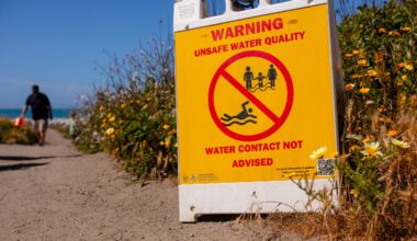 LACo Health Dept Warns Beachgoers to Avoid Body Surfing Amid Heat Wave