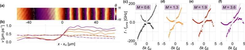 Simulating the Hawking effect and other quantum field theory predictions with polariton fluids