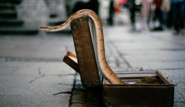 he tried to put 16 live snakes in his suitcase from Thailand to India and got caught at the airport