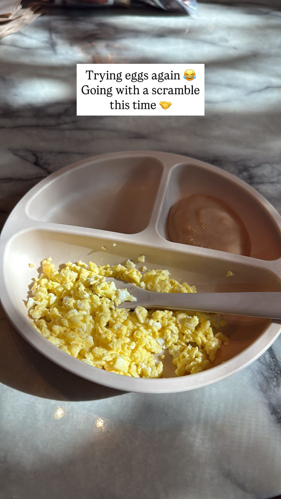 sofia eggs