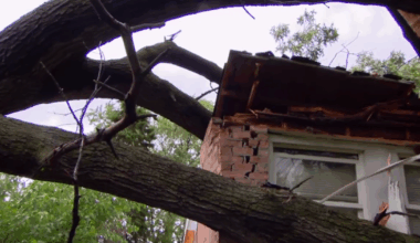 Chicago weather: Fast-moving storms knock trees onto houses, cause fires, cut power