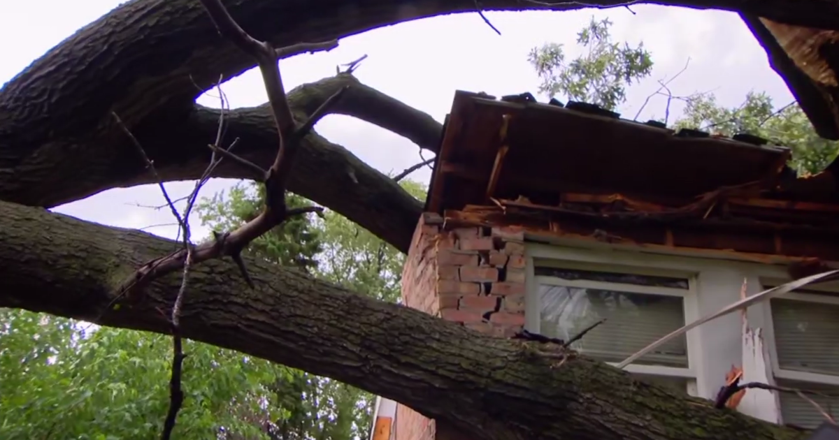 Chicago weather: Fast-moving storms knock trees onto houses, cause fires, cut power