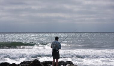 San Diego beaches are cooler than normal this summer. Here’s why. – San Diego Union-Tribune