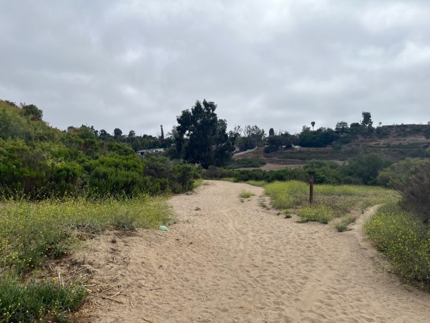 Hikers begin by heading southwest on a sandy path. (Maura Fox / The San Diego Union-Tribune)