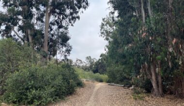 A guide to hiking Indian Head Canyon