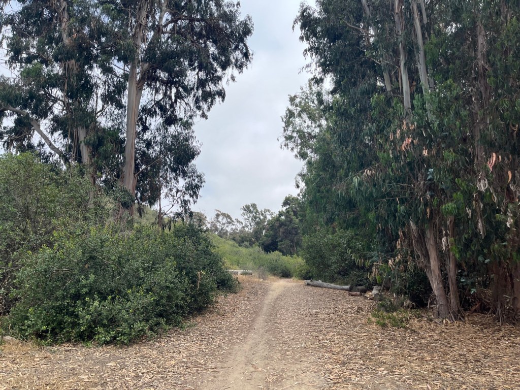 A guide to hiking Indian Head Canyon