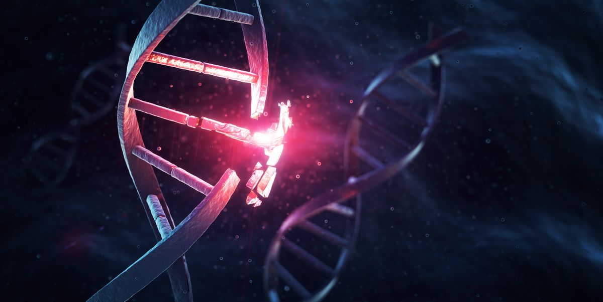 Can A Gene Mutation Help Prevent Alzheimer’s? New Study Explores