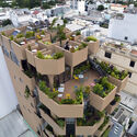 The Jungle Residence / ROOM+ Design & Build - Image 5 of 41