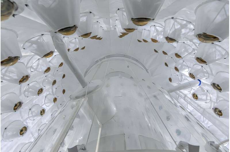 The LZ experiment sets more stringent constraints on cosmic ray-boosted dark matter