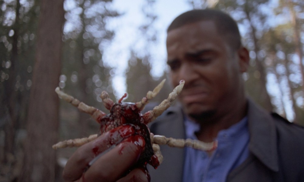 Parasite Horror Movies to Stream This Week