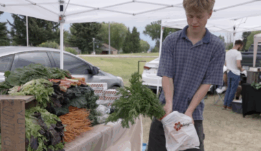 New midweek market opens at Clark Park in Butte