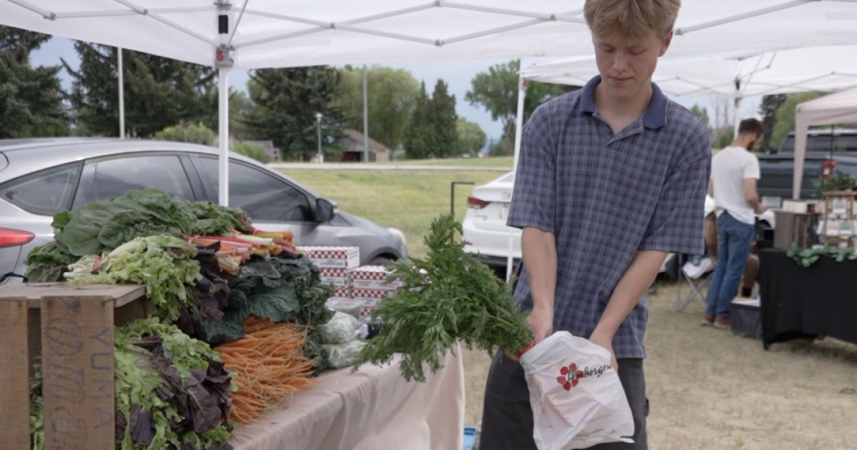 New midweek market opens at Clark Park in Butte