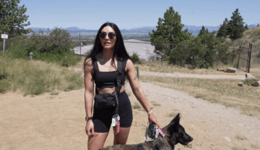 Rattlesnake sightings on the rise as weather heats up