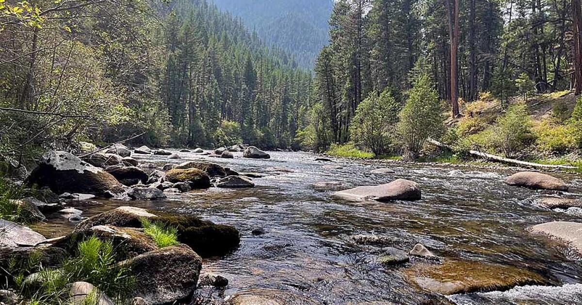 Montana rivers drop, algae spreads as drought deepens