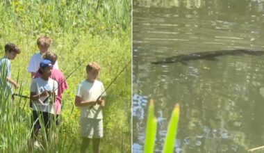 Rare alligator gar caught by group of 12-year-old friends in Michigan pond