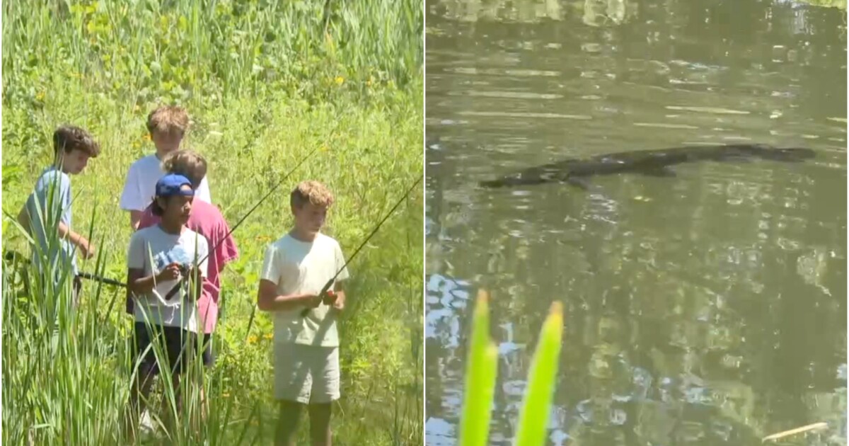 Rare alligator gar caught by group of 12-year-old friends in Michigan pond