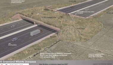 Greenland wildlife crossing on time, under budget as project hits halfway mark