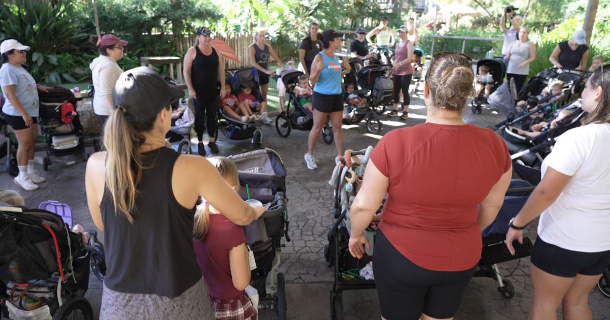 FIT4MOM will offer Stroller Strides class at San Diego Zoo Safari Park