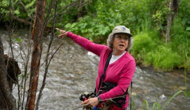 These Anchorage residents are capturing the secret lives of the city’s wildlife on camera