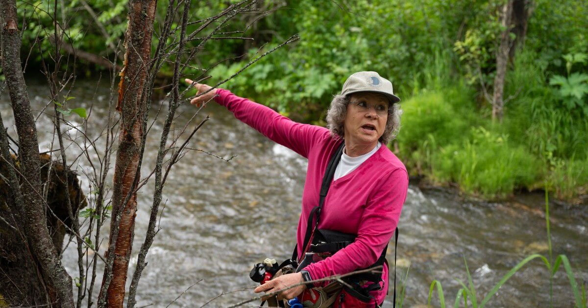These Anchorage residents are capturing the secret lives of the city’s wildlife on camera