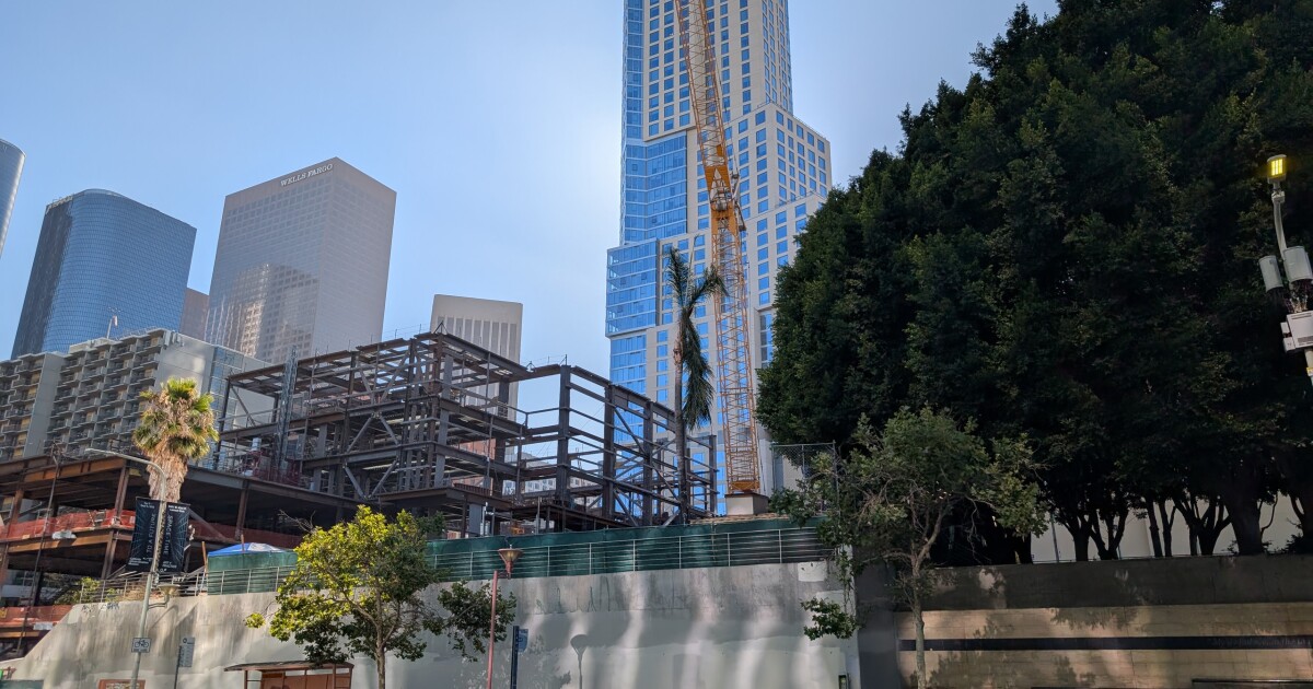 Who will save Sunshine? The palm tree may be the last survivor of old Bunker Hill