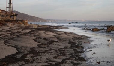Six months after the fires, are LA beaches safe?