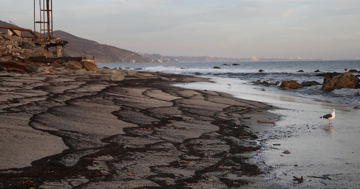Six months after the fires, are LA beaches safe?