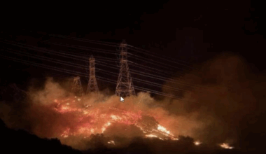 Should LA fire survivors join a lawsuit? Here’s a guide