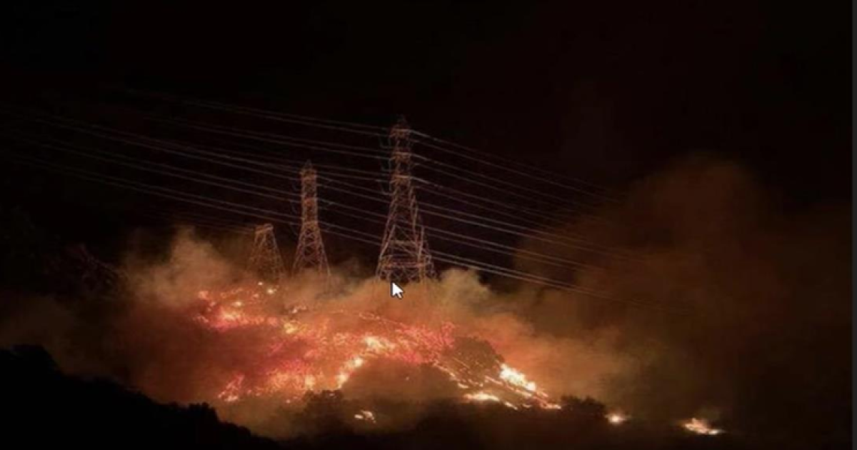 Should LA fire survivors join a lawsuit? Here’s a guide