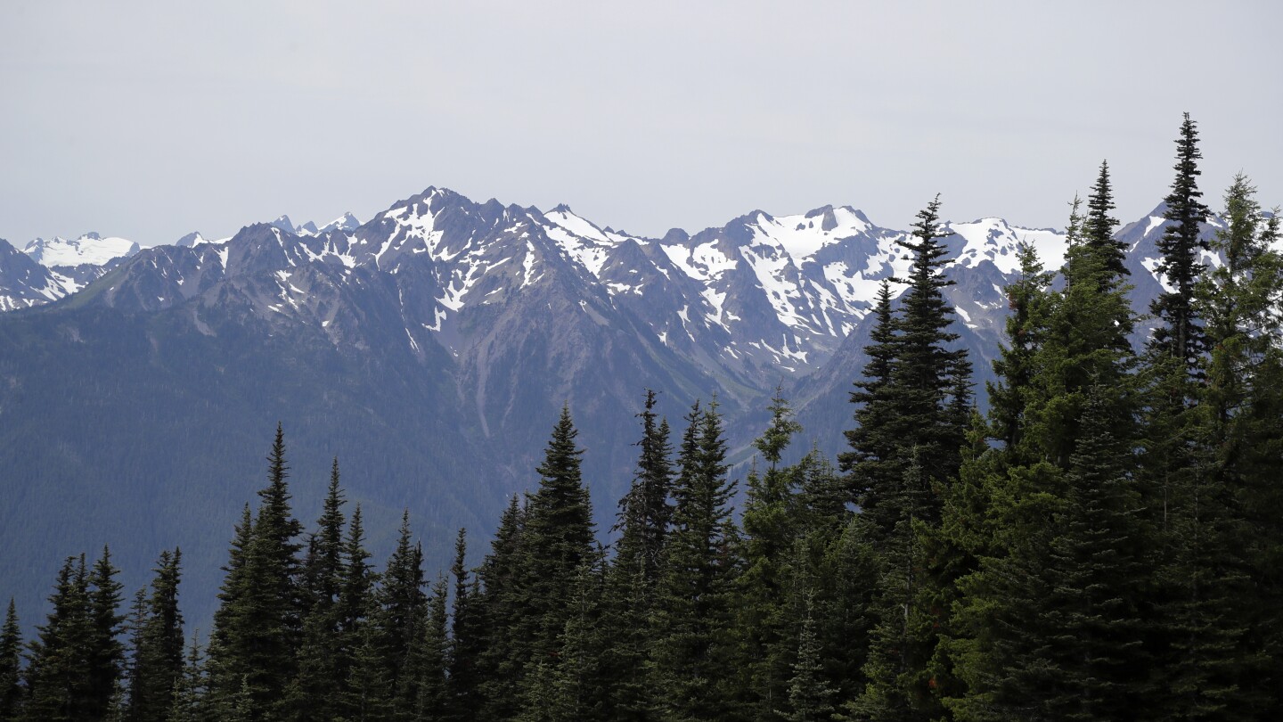 Mountain lion attacks 4-year-old on popular trail in Olympic National Park