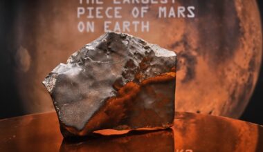Alien rock from Mars fetches nearly $5.3 million at auction
