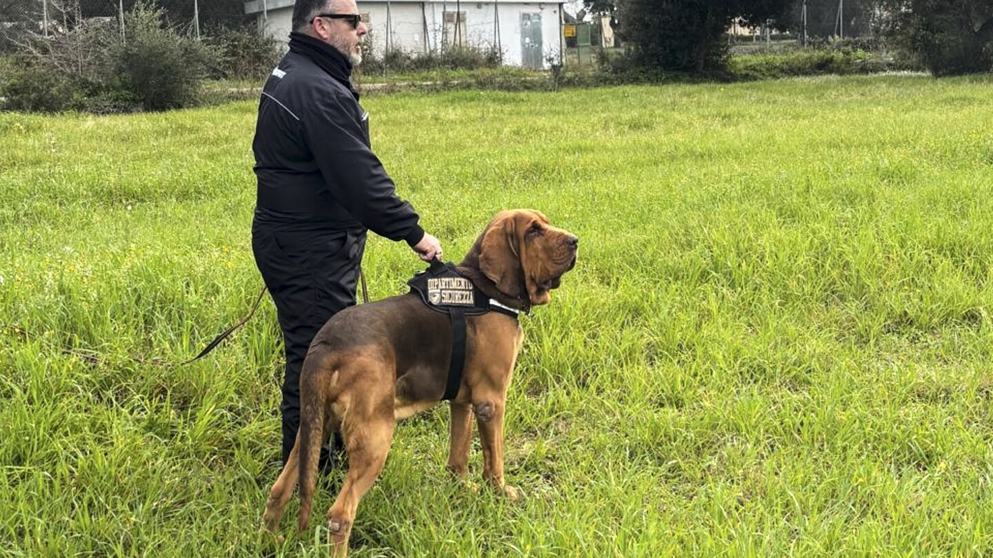 Italy outraged at killing of police bloodhound, found dead after eating food laced with nails