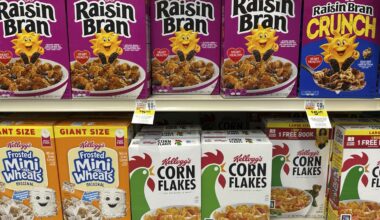 Americans buying less cereal may be a factor in sale of Kellogg's brands