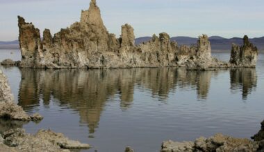 A NASA-funded study that hinted at a bizarre life form in Mono Lake has been retracted