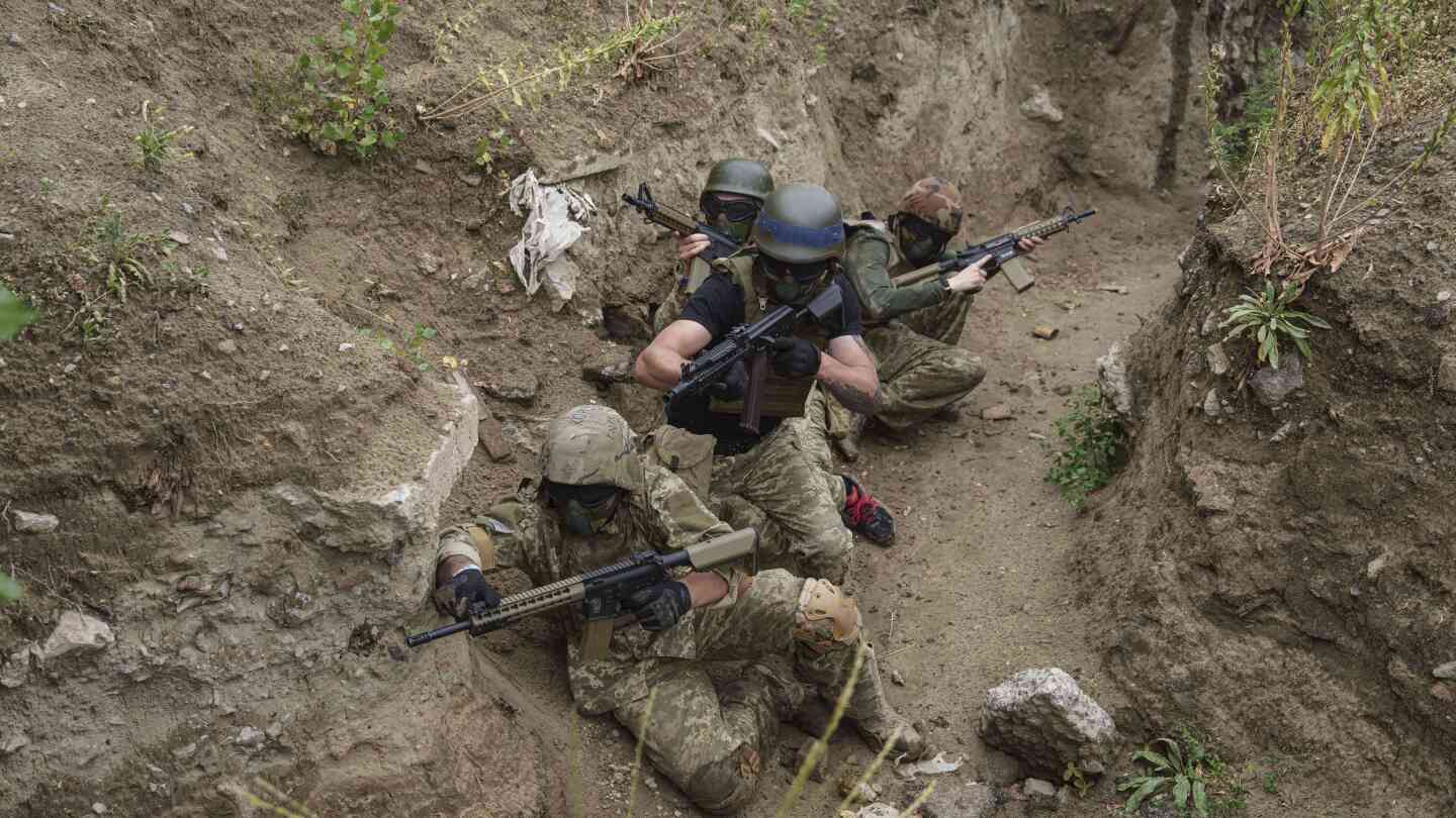 Ukraine to boost domestic arms production, says Zelenskyy