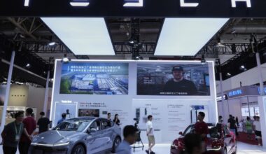 Trump offers support to Musk's car company as Tesla stock plunges