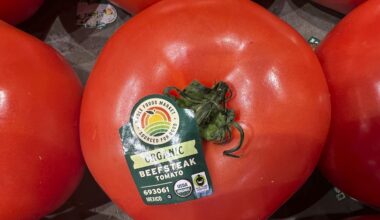US imposes a 17% duty on fresh Mexican tomatoes in hopes of boosting domestic production
