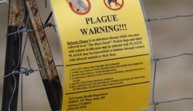 Northern Arizona resident dies from plague