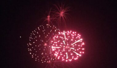 8-year-old girl fatally struck by fireworks on July Fourth