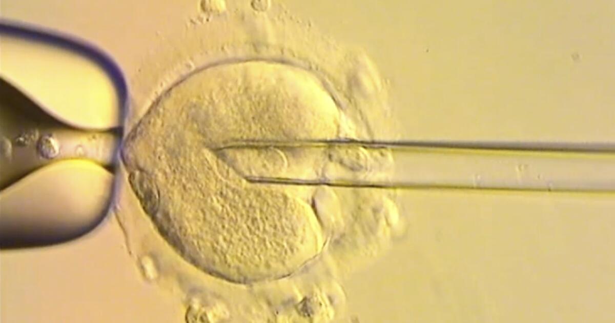 Healthy babies born using DNA from three people to avoid genetic disease