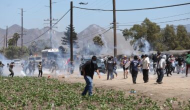 Federal immigration agents sweep Ventura County cannabis farm